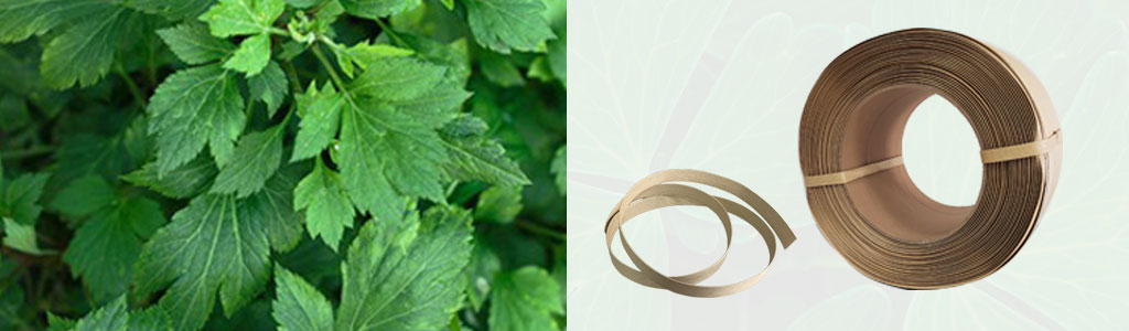 Plant Fiber Packing Belt Plant Fiber Packing Belt